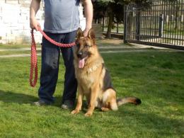 HARY Tom-And-Box ( Rio x Diana)-miot H
