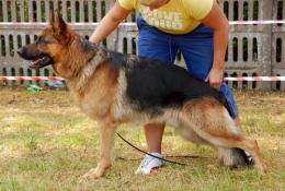 SANTIAGO Anarchia Box