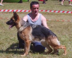 SG5 JHKL ULM 2009  NELSON vom FRANKENGOLD