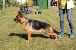  Ch.PL  BRADLEY Anarchia Box