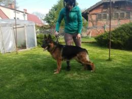 BRADLEY Anarchia Box