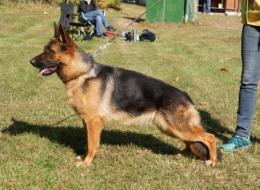 Ch.PL BRADLEY Anarchia Box