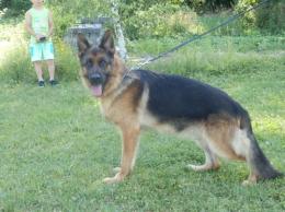 SKY vom Waldfurter Wald