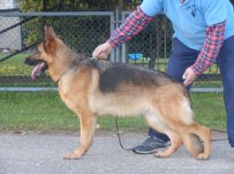 SKY vom Waldfurter Wald