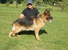 SKY vom Waldfurter Wald