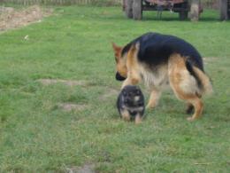 Obok mamy najbezoieczniej.