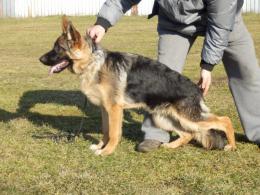 Balbinka Anarchia Box