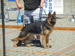 YPSI vel GABI - Gorzów 2018