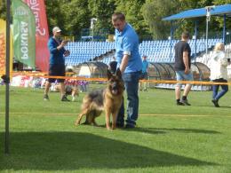 Gorzów- 16.06.2019 Doskonała I , CWC