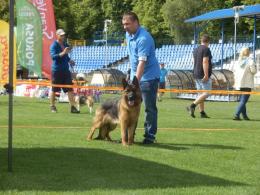 Gorzów- 16.06.2019 Doskonała I , CWC